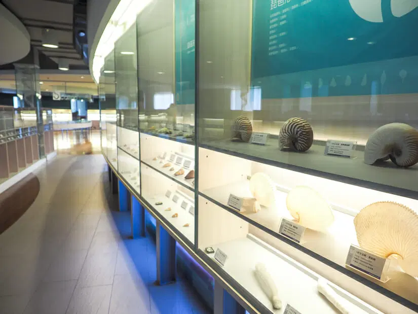 cijin-shell-museum